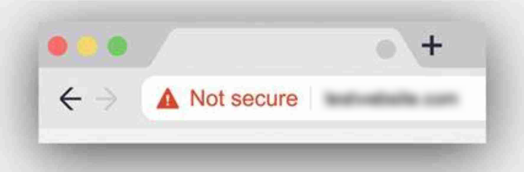 For secure ordering make sure you are on a secured WiFi connection